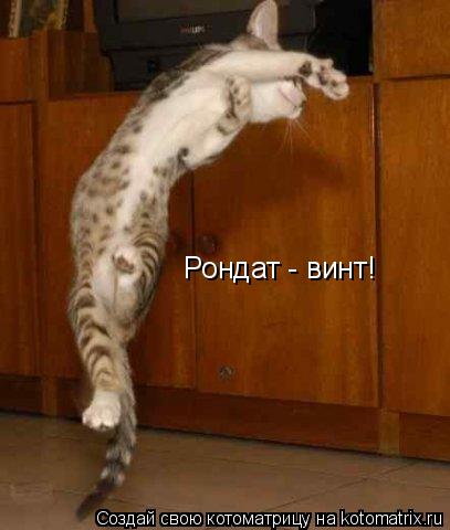 Рондат - винт!... Котоматрица: Рондат - винт!