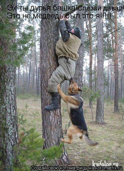 Эх ты дурья башка! Это не медведь был,это я!!!!! Слезай давай!... Котоматрица: Эх ты дурья башка! Это не медведь был,это я!!!!! Слезай давай!