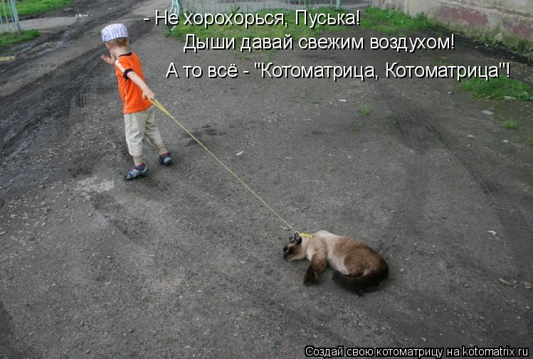 - Не хорохорься, Пуська! Дыши давай свежим воздухом! А то всё - "Котоматрица, Котоматрица"!... Котоматрица: - Не хорохорься, Пуська! Дыши давай свежим воздухом! А то всё - "Котоматрица, Котоматрица"!