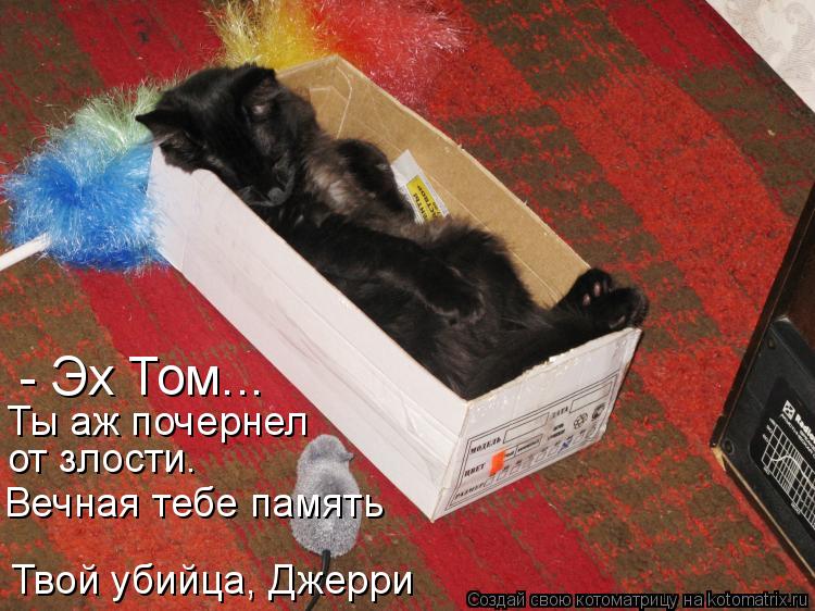 - Эх Том... Ты аж почернел от злости. Вечная тебе память Твой убийца, Джерри... Котоматрица: - Эх Том... Ты аж почернел от злости. Вечная тебе память Твой убийца, Джерри