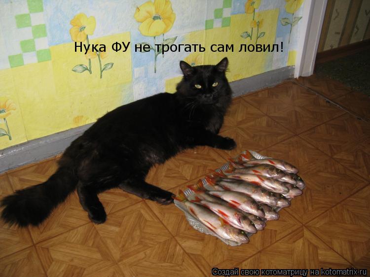 Нука ФУ не трогать сам ловил!... Котоматрица: Нука ФУ не трогать сам ловил!
