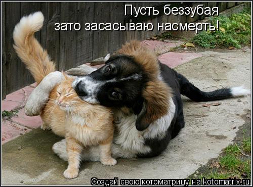 Пусть беззубая зато засасываю насмерть!... Котоматрица: Пусть беззубая зато засасываю насмерть!