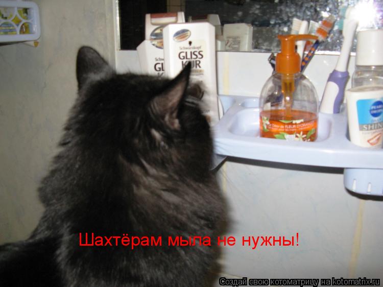 Шахтёрам мыла не нужны!... Котоматрица: Шахтёрам мыла не нужны!