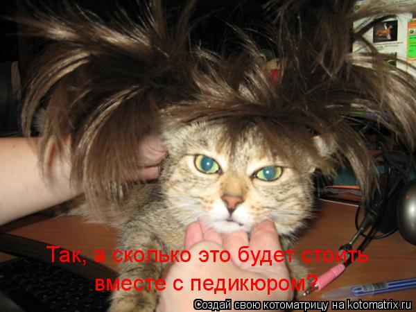 Так, а сколько это будет стоить вместе с педикюром?... Котоматрица: Так, а сколько это будет стоить вместе с педикюром?