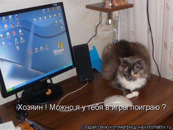 Хозяин ! Можно я у тебя в игры поиграю ?... Котоматрица: Хозяин ! Можно я у тебя в игры поиграю ?