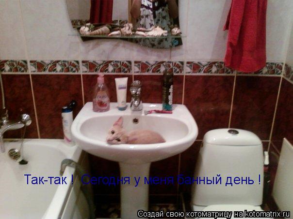 Так-так ! Сегодня у меня банный день !... Котоматрица: Так-так ! Сегодня у меня банный день !