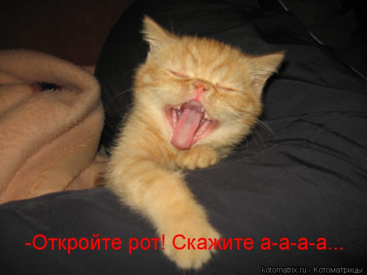 -Откройте рот! Скажите а-а-а-а...... Котоматрица: -Откройте рот! Скажите а-а-а-а...