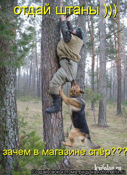 отдай штаны ))) зачем в магазине спёр???... Котоматрица: отдай штаны ))) зачем в магазине спёр???