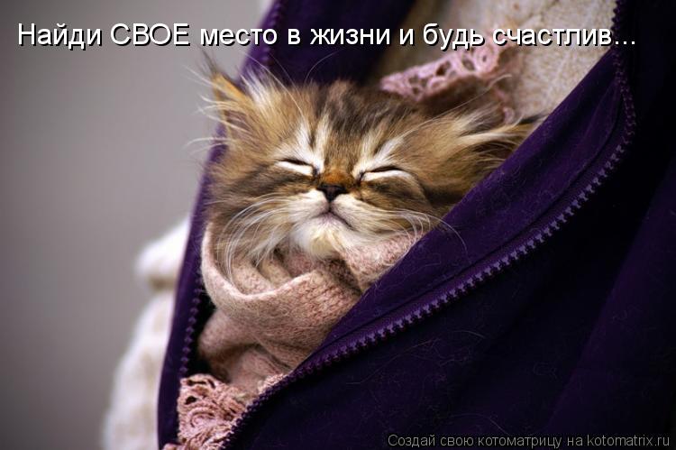 Найди СВОЕ место в жизни и будь счастлив...... Котоматрица: Найди СВОЕ место в жизни и будь счастлив...