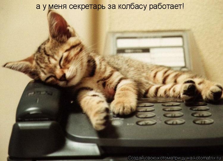 а у меня секретарь за колбасу работает!... Котоматрица: а у меня секретарь за колбасу работает!