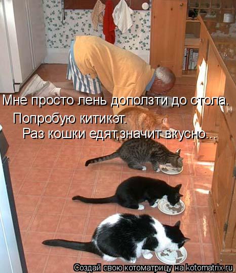 Мне просто лень доползти до стола. Попробую китикэт. Раз кошки едят,значит вкусно...... Котоматрица: Мне просто лень доползти до стола. Попробую китикэт. Раз кошки едят,значит вкусно...