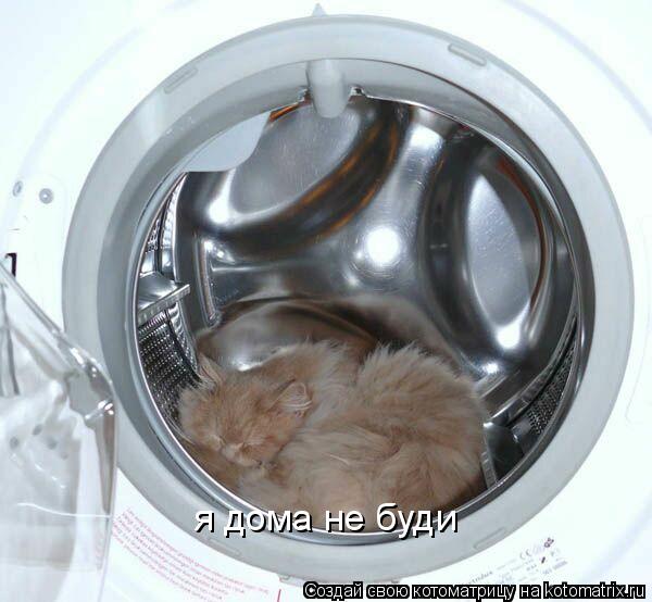 я дома не буди... Котоматрица: я дома не буди