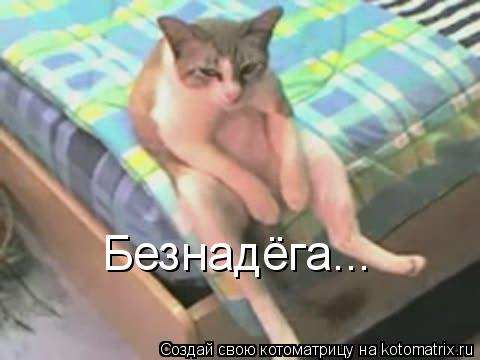 Безнадёга...... Котоматрица: Безнадёга...