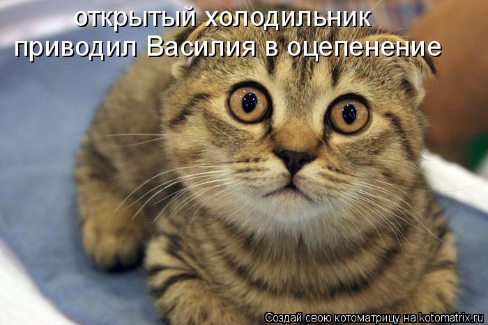 открытый холодильник приводил Василия в оцепенение... Котоматрица: открытый холодильник приводил Василия в оцепенение