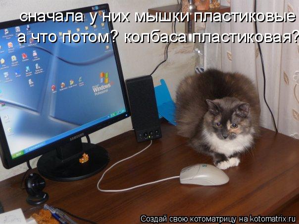 сначала у них мышки пластиковые а что потом? колбаса пластиковая?... Котоматрица: сначала у них мышки пластиковые а что потом? колбаса пластиковая?