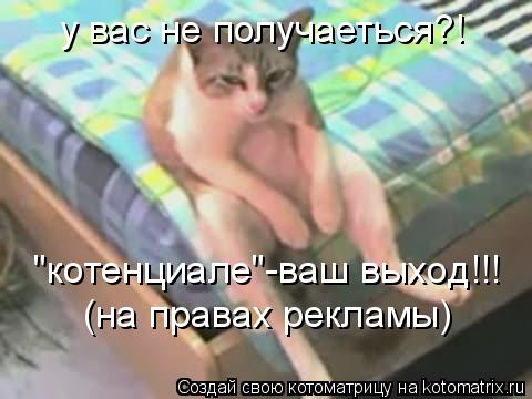 у вас не получаеться?! "котенциале"-ваш выход!!! (на правах рекламы)... Котоматрица: у вас не получаеться?! "котенциале"-ваш выход!!! (на правах рекламы)