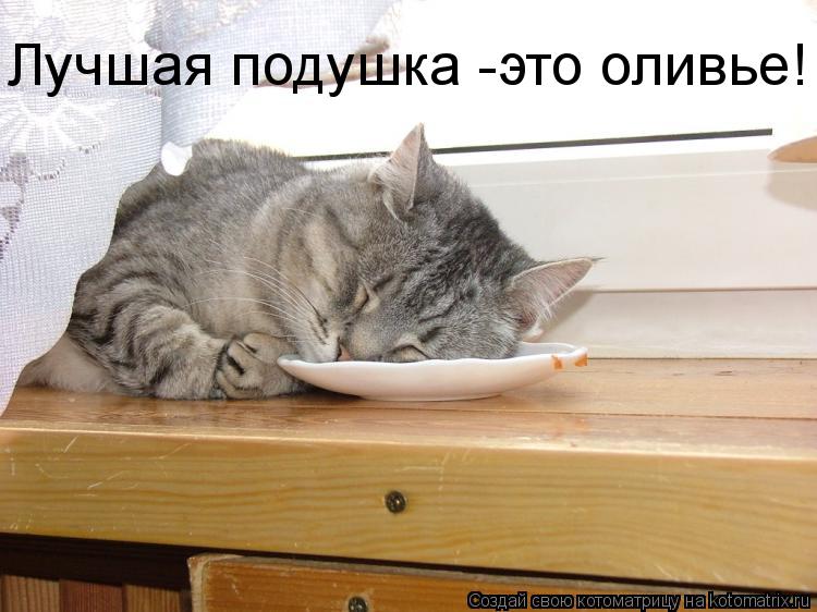 Лучшая подушка -это оливье!... Котоматрица: Лучшая подушка -это оливье!