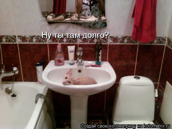 Ну ты там долго?... Котоматрица: Ну ты там долго?