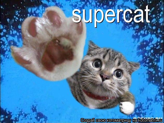 supercat... Котоматрица: supercat