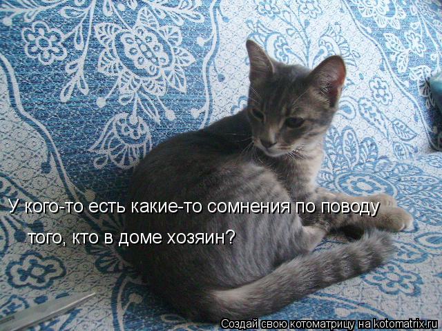 У кого-то есть какие-то сомнения по поводу того, кто в доме хозяин?... Котоматрица: У кого-то есть какие-то сомнения по поводу того, кто в доме хозяин?
