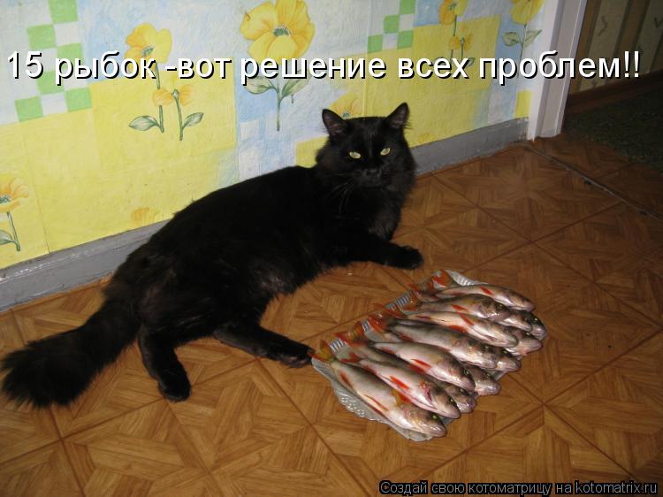 15 рыбок -вот решение всех проблем!!... Котоматрица: 15 рыбок -вот решение всех проблем!!
