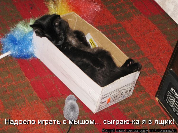 Надоело играть с мышом... сыграю-ка я в ящик!... Котоматрица: Надоело играть с мышом... сыграю-ка я в ящик!