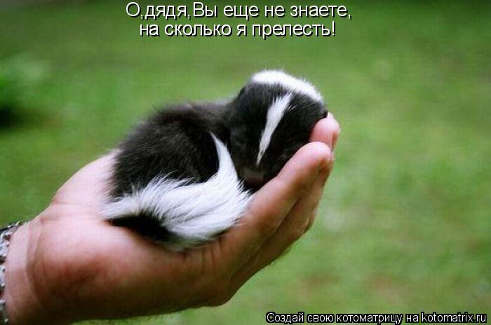О,дядя,Вы еще не знаете, на сколько я прелесть! на сколько я прелесть!... Котоматрица: О,дядя,Вы еще не знаете, на сколько я прелесть! на сколько я прелесть!