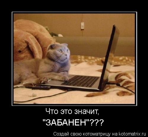 Что это значит, "ЗАБАНЕН"???... Котоматрица: Что это значит, "ЗАБАНЕН"???