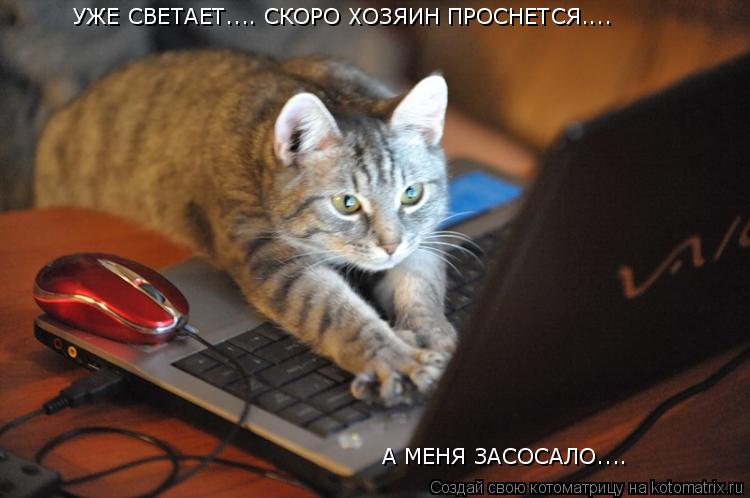УЖЕ СВЕТАЕТ.... СКОРО ХОЗЯИН ПРОСНЕТСЯ.... А МЕНЯ ЗАСОСАЛО....... Котоматрица: УЖЕ СВЕТАЕТ.... СКОРО ХОЗЯИН ПРОСНЕТСЯ.... А МЕНЯ ЗАСОСАЛО....
