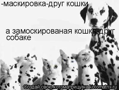-маскировка-друг кошки а замоскированая кошка-друг собаке... Котоматрица: -маскировка-друг кошки а замоскированая кошка-друг собаке