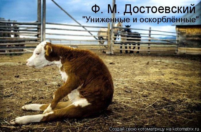 Ф. М. Достоевский "Униженные и оскорблённые"... Котоматрица: Ф. М. Достоевский "Униженные и оскорблённые"