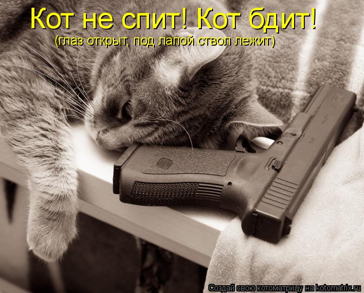 Кот не спит! Кот бдит! (глаз открыт, под лапой ствол лежит)... Котоматрица: Кот не спит! Кот бдит! (глаз открыт, под лапой ствол лежит)