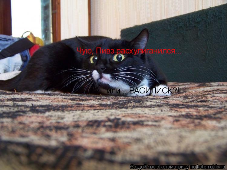 Чую, Пивз расхулиганился... или... ВАСИЛИСК?!... Котоматрица: Чую, Пивз расхулиганился... или... ВАСИЛИСК?!