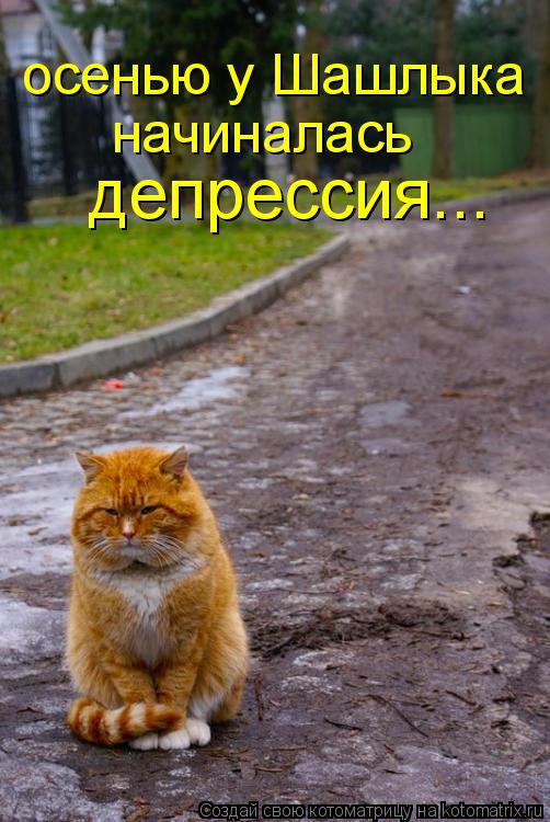 осенью у Шашлыка начиналась депрессия...... Котоматрица: осенью у Шашлыка начиналась депрессия...