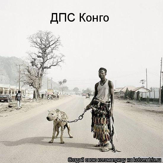 ДПС Конго... Котоматрица: ДПС Конго