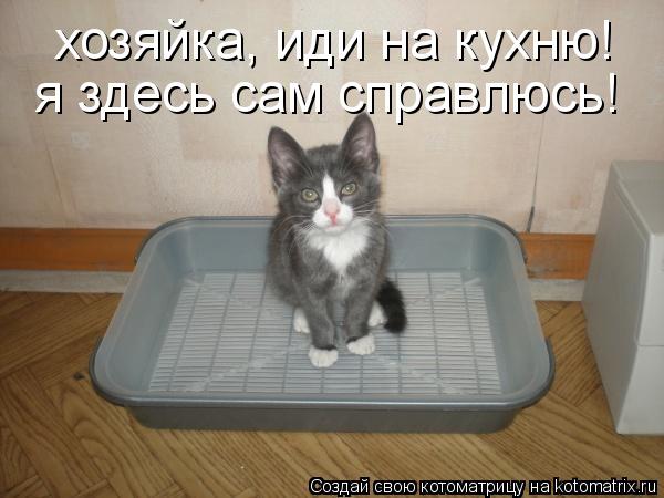 хозяйка, иди на кухню! я здесь сам справлюсь!... Котоматрица: хозяйка, иди на кухню! я здесь сам справлюсь!