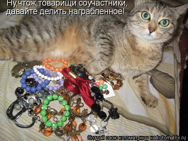 Ну,чтож,товарищи соучастники, давайте делить награбленное!... Котоматрица: Ну,чтож,товарищи соучастники, давайте делить награбленное!