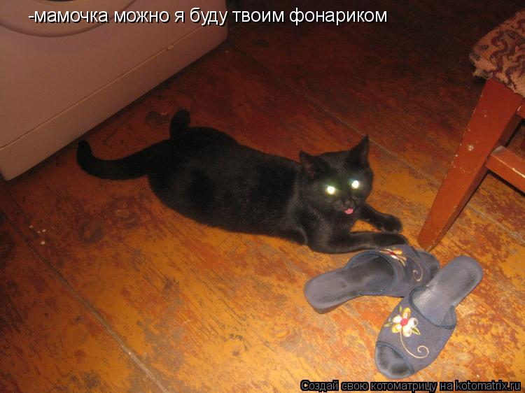 -мамочка можно я буду твоим фонариком... Котоматрица: -мамочка можно я буду твоим фонариком