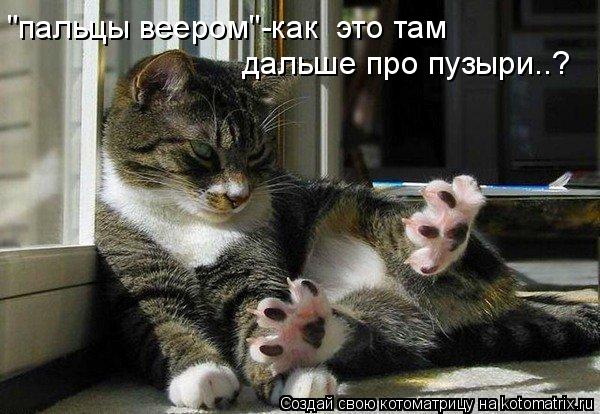 дальше про пузыри..? "пальцы веером"-как это там... Котоматрица: дальше про пузыри..? "пальцы веером"-как это там