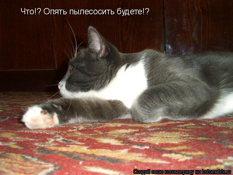 Что!? Опять пылесосить будете!?... Котоматрица: Что!? Опять пылесосить будете!?