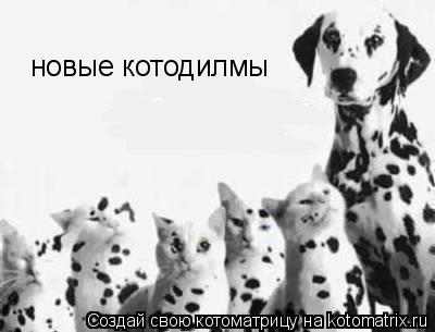 новые котодилмы... Котоматрица: новые котодилмы