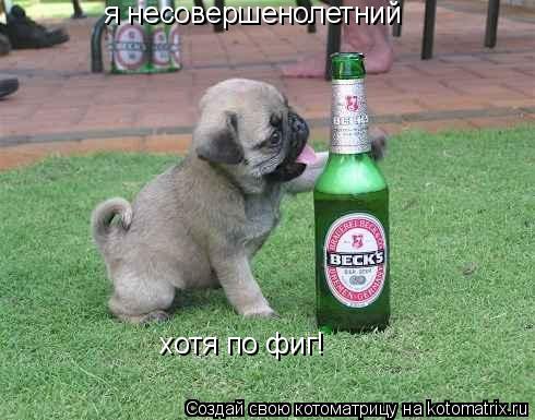 я несовершенолетний хотя по фиг!... Котоматрица: я несовершенолетний хотя по фиг!