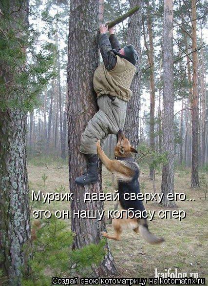 Мурзик , давай сверху его... это он нашу колбасу спер... Котоматрица: Мурзик , давай сверху его... это он нашу колбасу спер