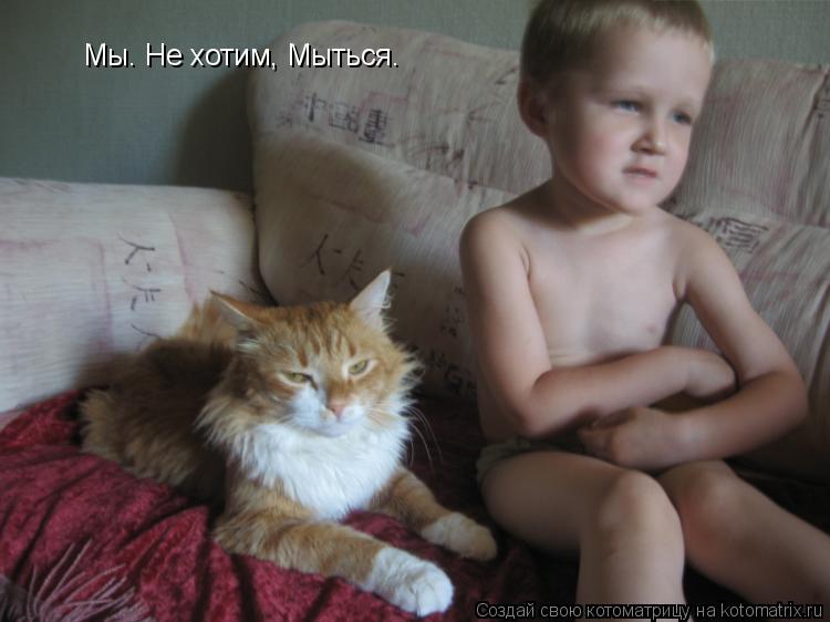 Мы. Не хотим, Мыться.... Котоматрица: Мы. Не хотим, Мыться.