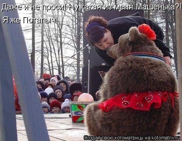 Даже и не проси! Ну какая из меня Машенька?! Я же Потапыч!... Котоматрица: Даже и не проси! Ну какая из меня Машенька?! Я же Потапыч!