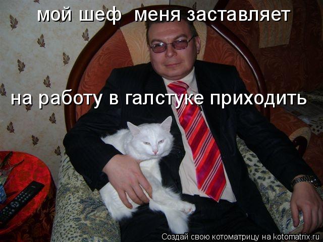 мой шеф меня заставляет на работу в галстуке приходить... Котоматрица: мой шеф меня заставляет на работу в галстуке приходить