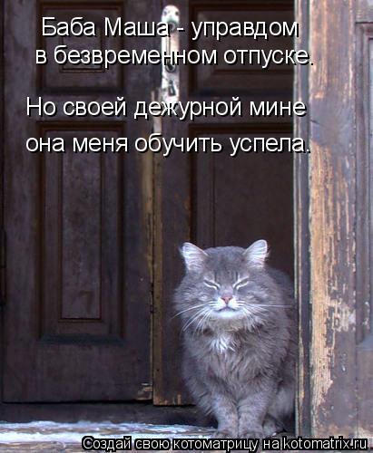 Баба Маша - управдом в безвременном отпуске. Но своей дежурной мине она меня обучить успела.... Котоматрица: Баба Маша - управдом в безвременном отпуске. Но своей дежурной мине она меня обучить успела.