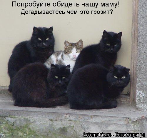 Попробуйте обидеть нашу маму! Догадываетесь чем это грозит?... Котоматрица: Попробуйте обидеть нашу маму! Догадываетесь чем это грозит?