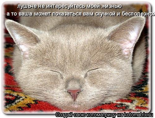 лушьче не интересуйтесь моей жизнью а то ваша может показаться вам скучной и бесполезной... Котоматрица: лушьче не интересуйтесь моей жизнью а то ваша может показаться вам скучной и бесполезной