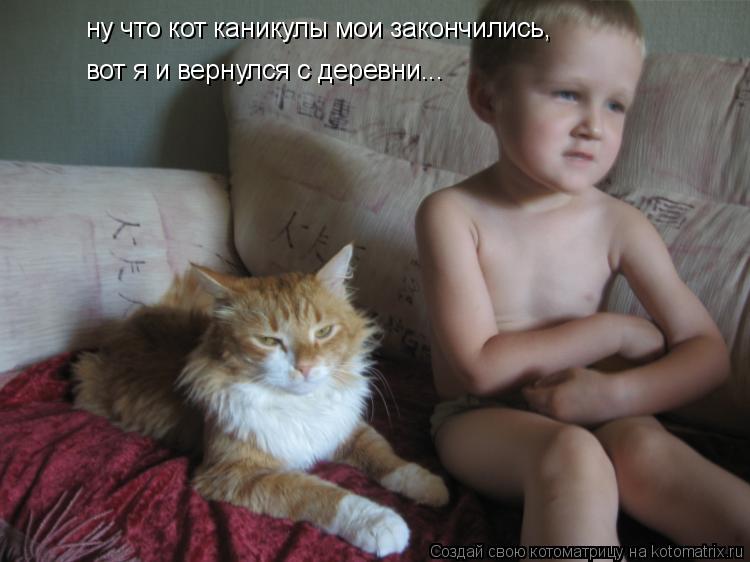 ну что кот каникулы мои закончились, вот я и вернулся с деревни...... Котоматрица: ну что кот каникулы мои закончились, вот я и вернулся с деревни...